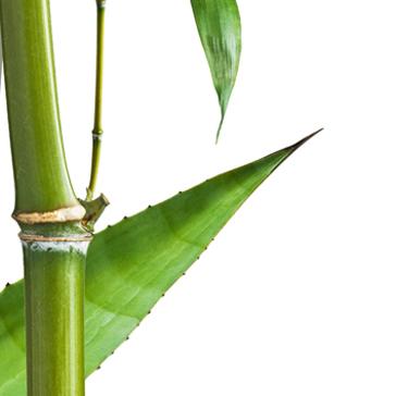 Crème Jambes et Pieds Lègers-444 Crème Jambes et Pieds Lègers-444