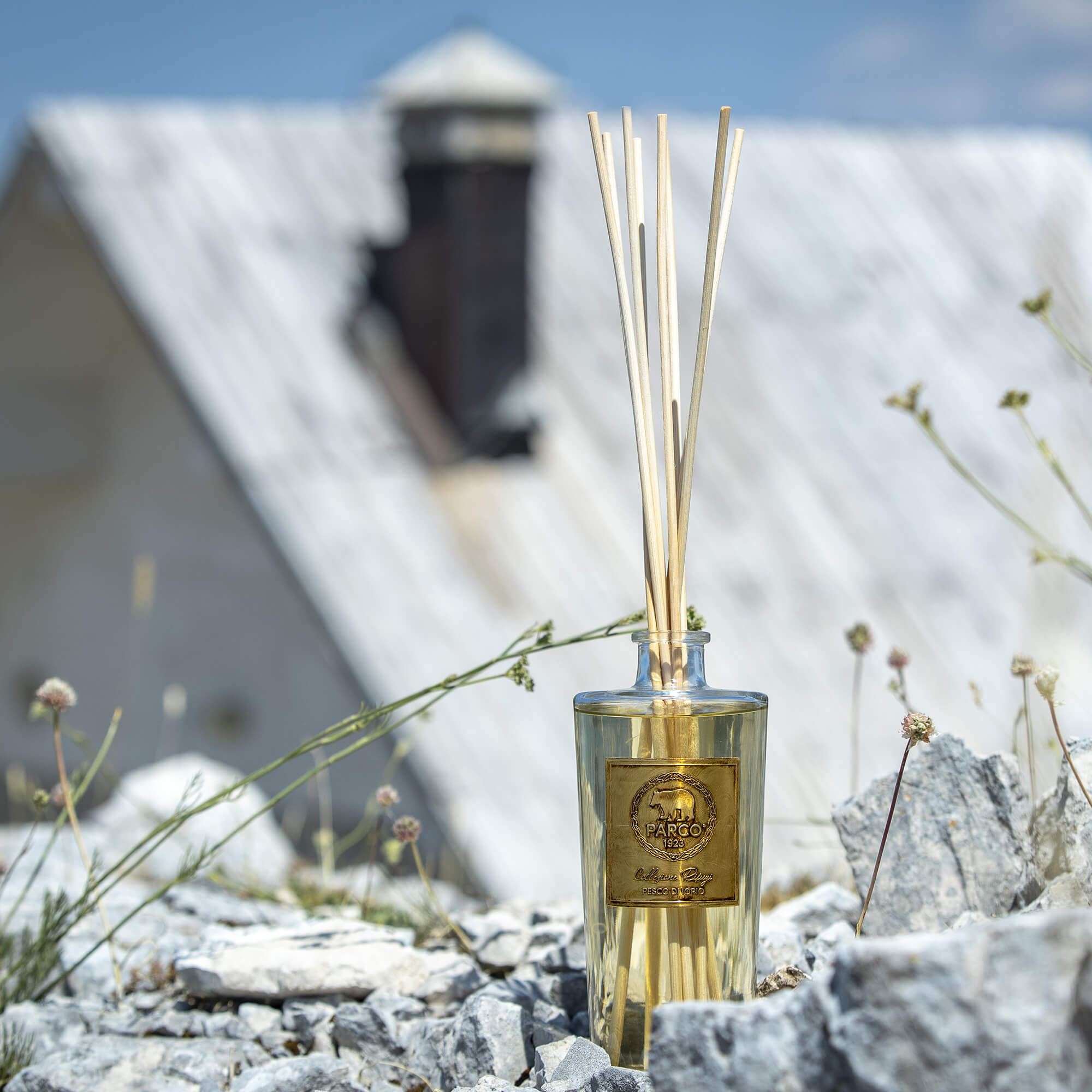 pesco-di-iorio-diffusore-ambiente-web