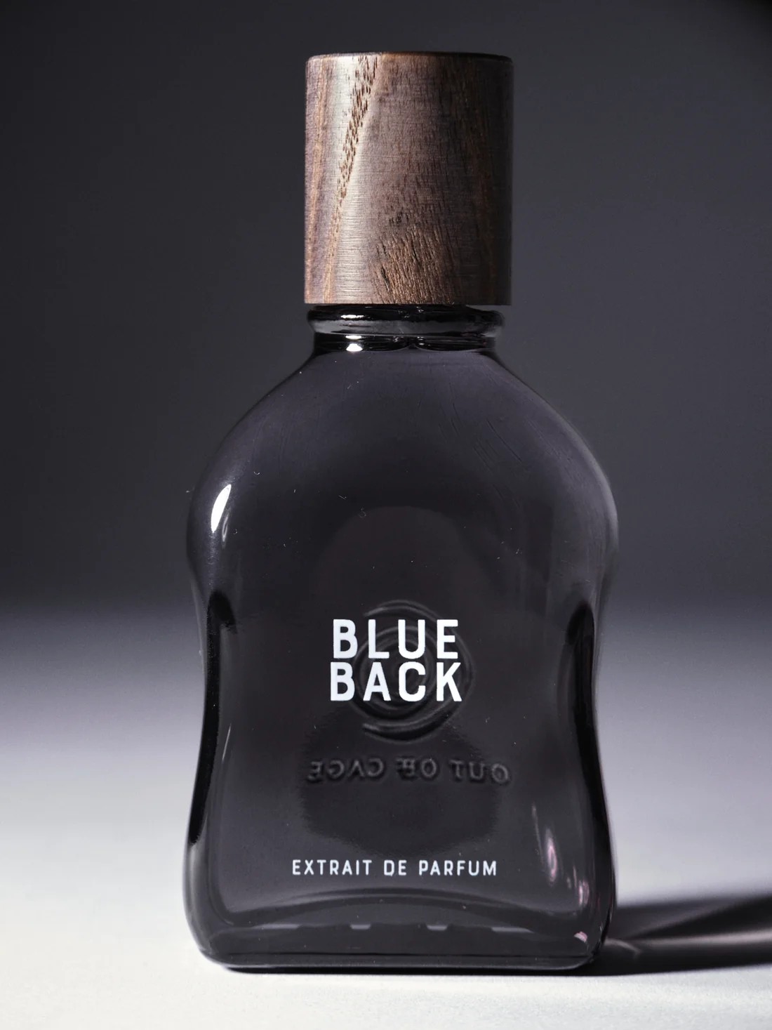 Blue back - immagine 2